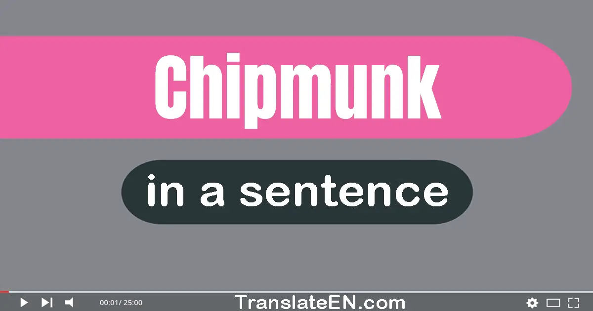 Chipmunk in a sentence