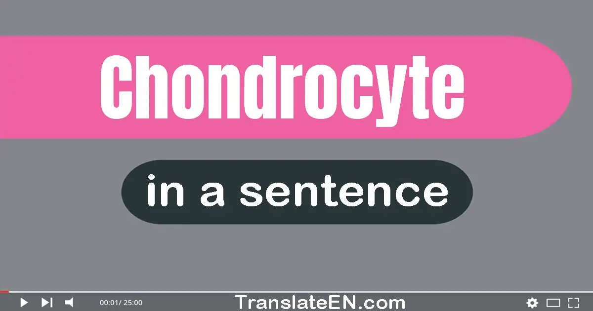 Chondrocyte in a sentence