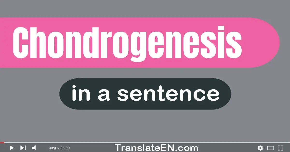 Chondrogenesis in a sentence