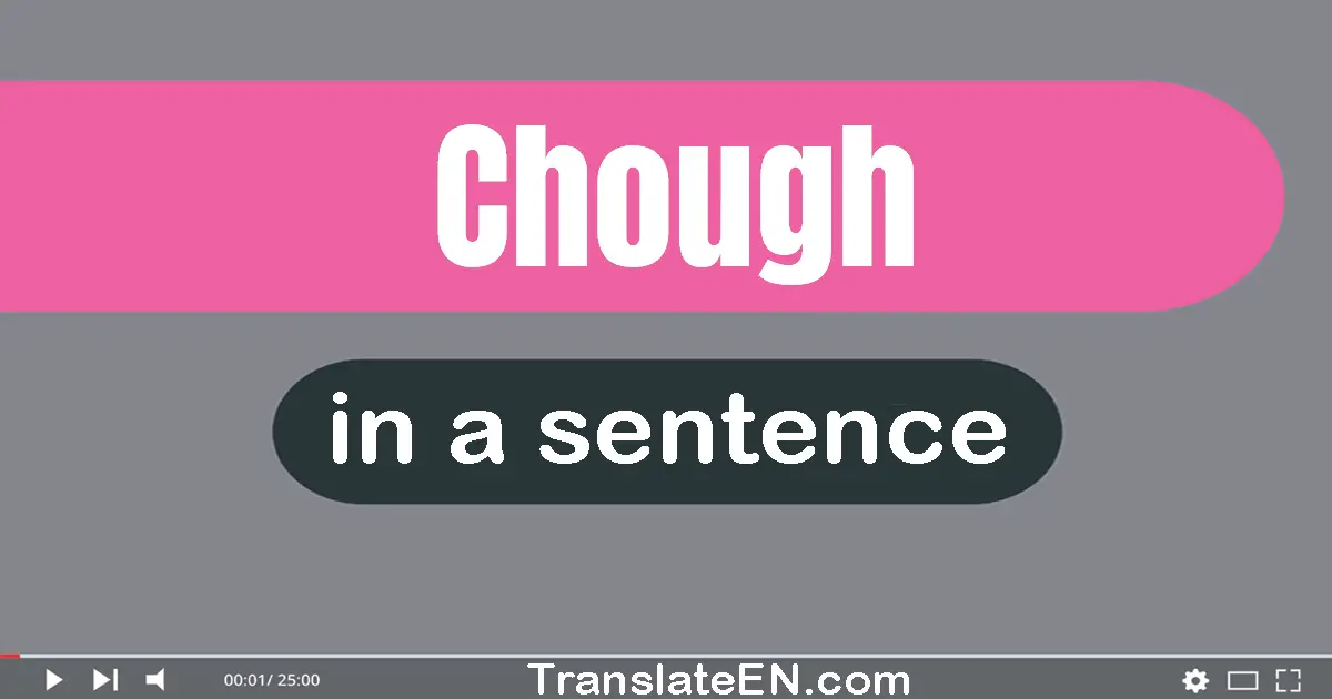 Chough in a sentence