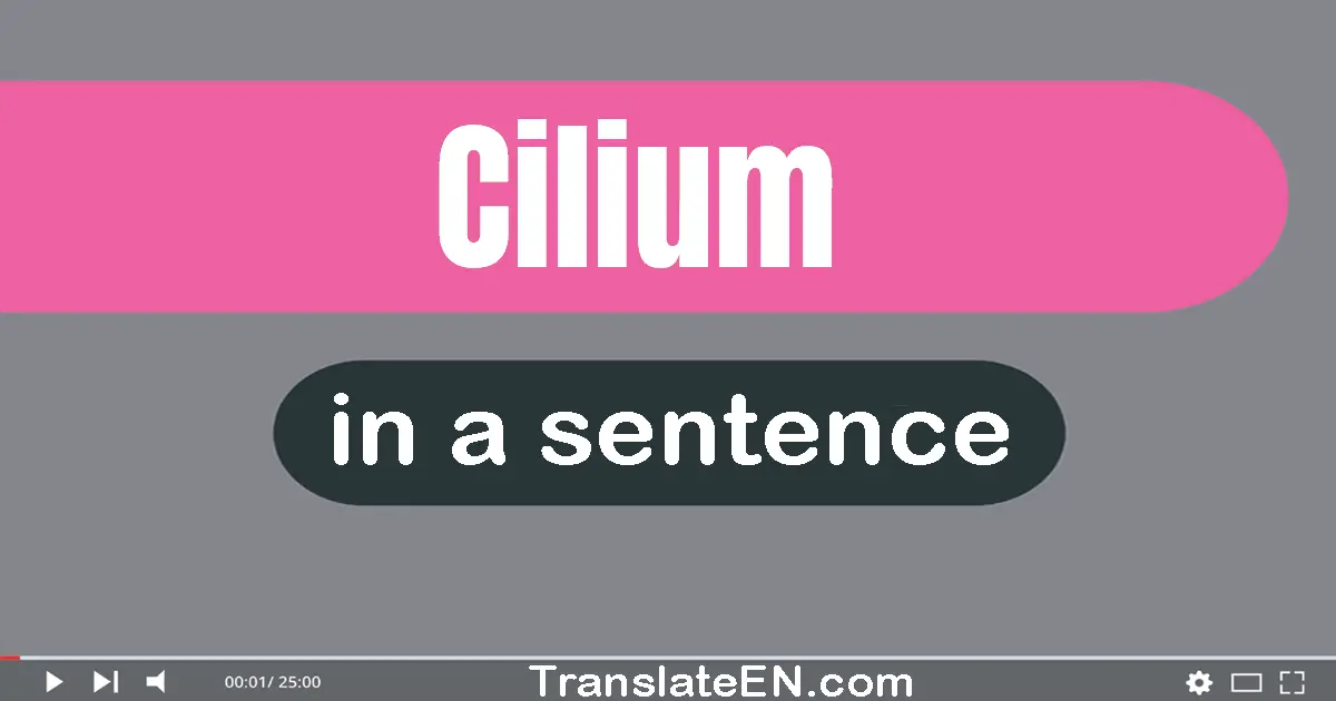 Cilium in a sentence