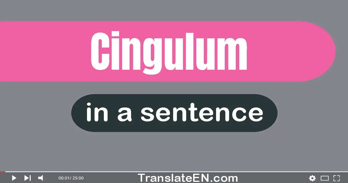 Cingulum in a sentence