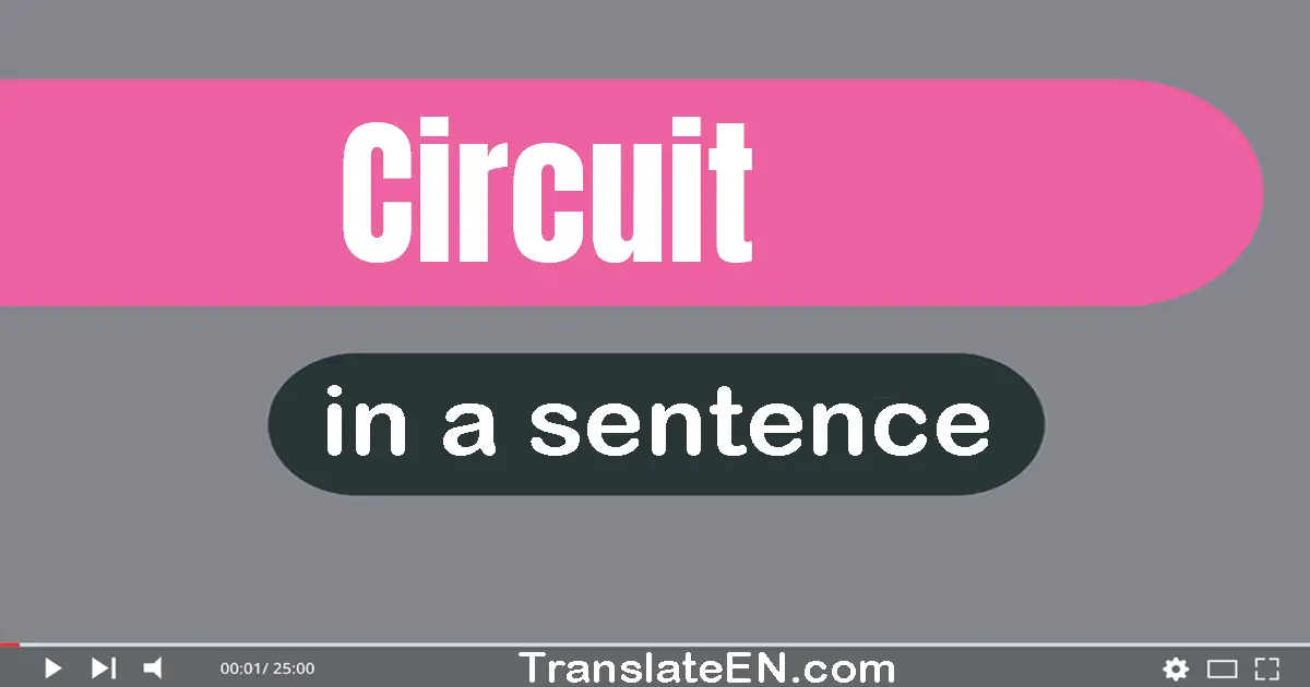 Use "circuit" in a sentence | "circuit" sentence examples