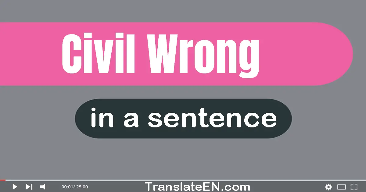 Civil Wrong in a sentence