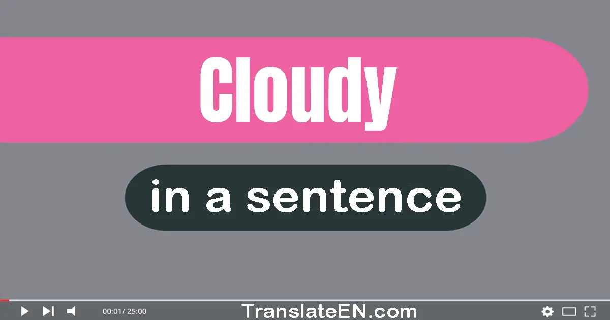 Use "cloudy" in a sentence | "cloudy" sentence examples