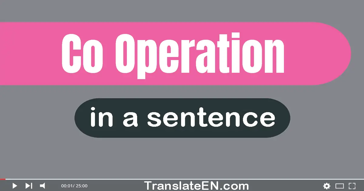 Co-operation in a sentence