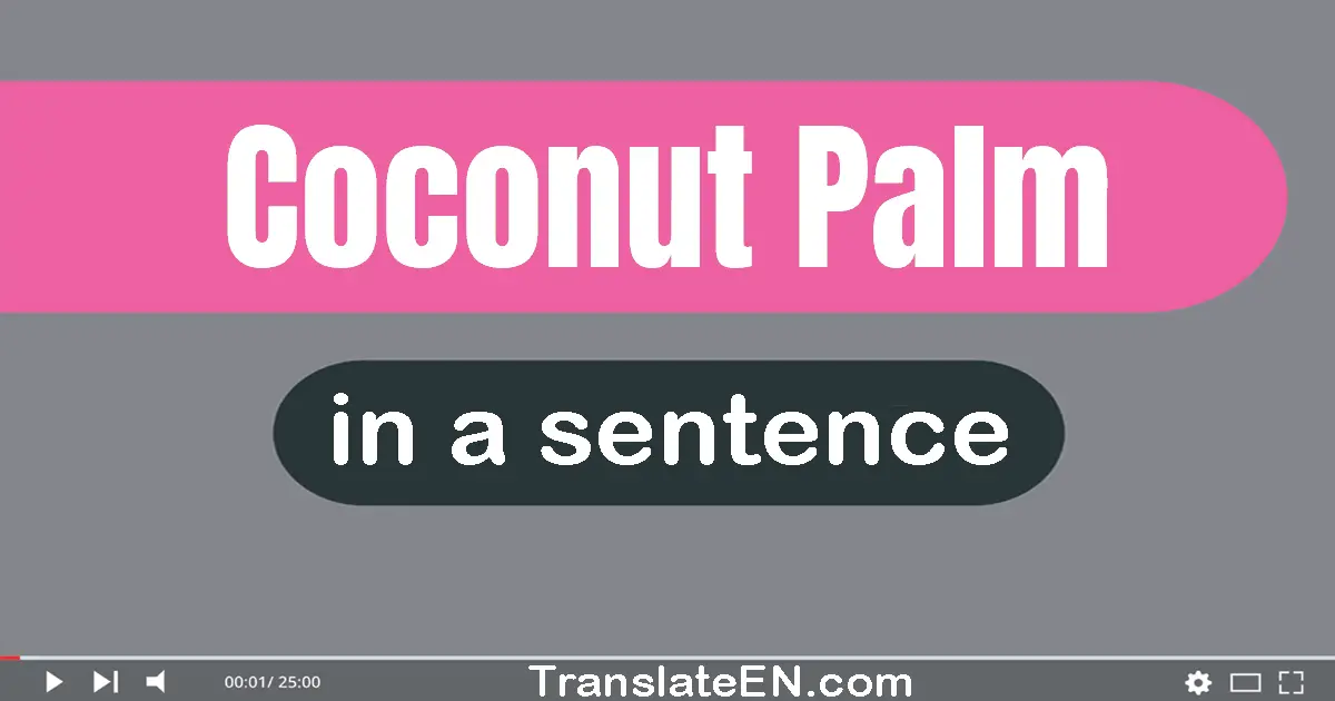 Coconut Palm in a sentence