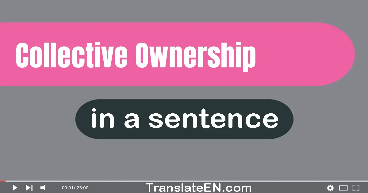 Use "collective ownership" in a sentence | "collective ownership" sentence examples