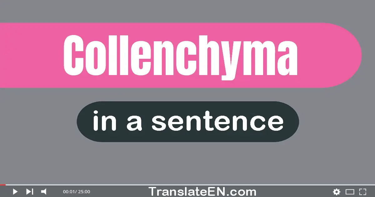 Collenchyma in a sentence