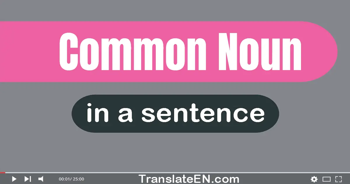 Common Noun in a sentence