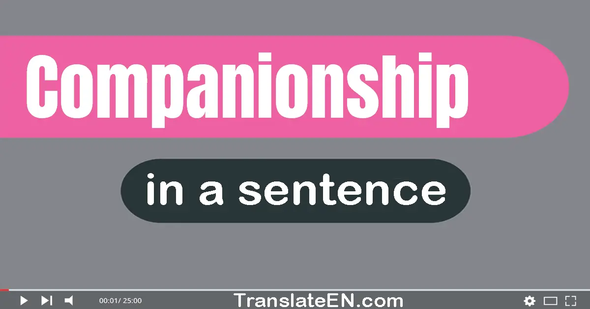 Use "companionship" in a sentence | "companionship" sentence examples