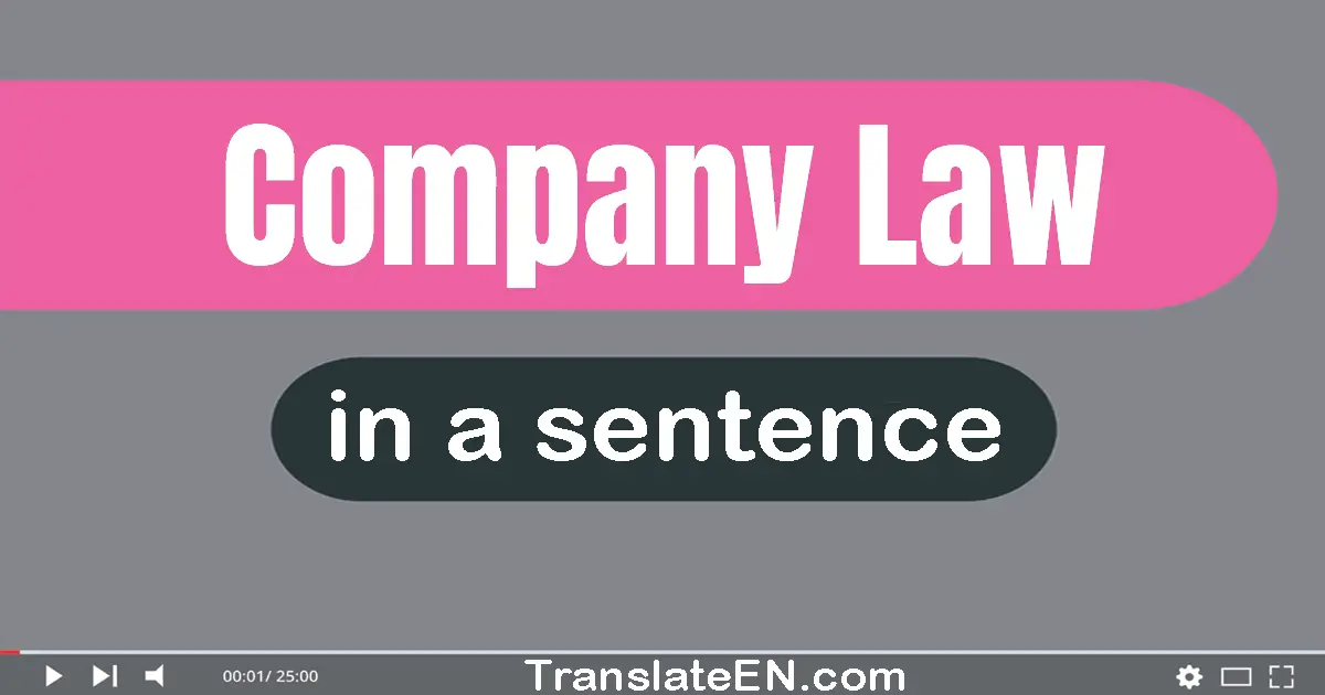 Use "company law" in a sentence | "company law" sentence examples
