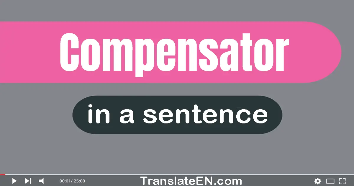 Use "compensator" in a sentence | "compensator" sentence examples