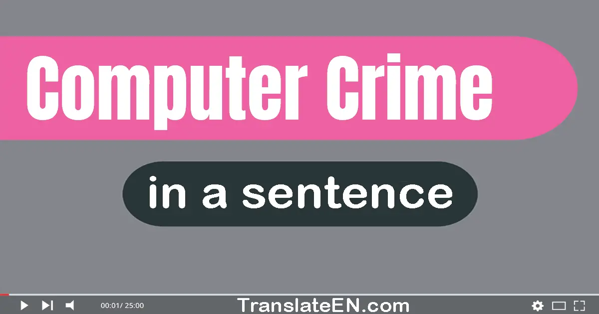 Computer Crime in a sentence