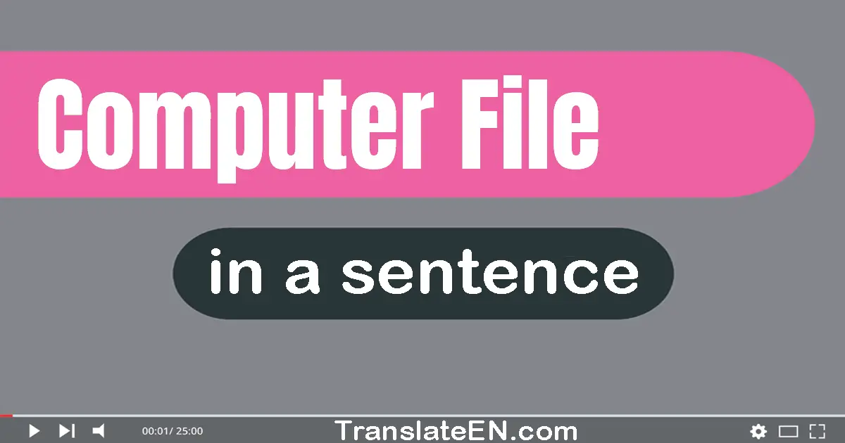 Computer File in a sentence