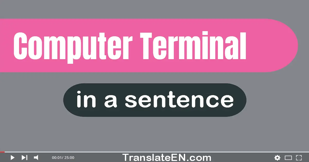 Computer Terminal in a sentence