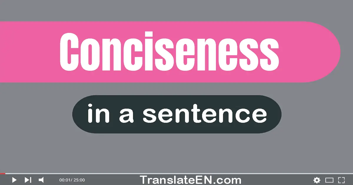 Use "conciseness" in a sentence | "conciseness" sentence examples