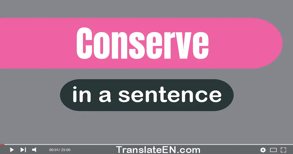 Use "conserve" in a sentence | "conserve" sentence examples