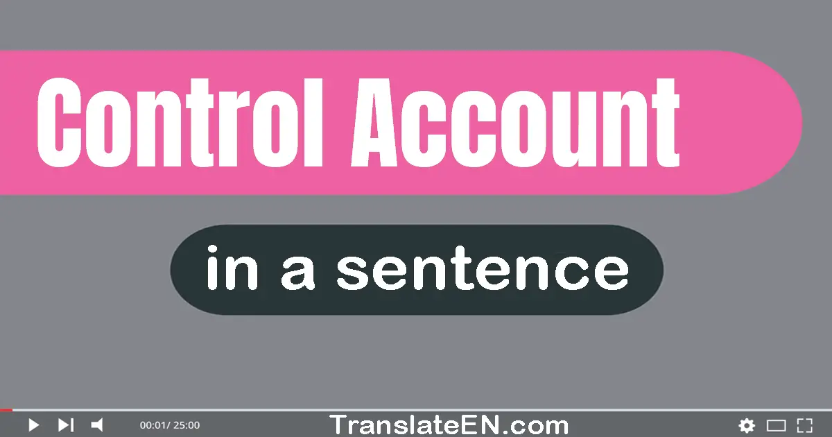 Use "control account" in a sentence | "control account" sentence examples