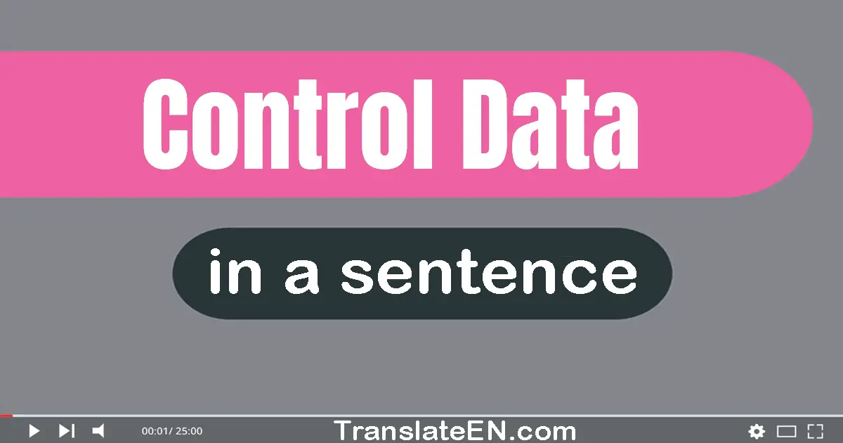 Use "control data" in a sentence | "control data" sentence examples
