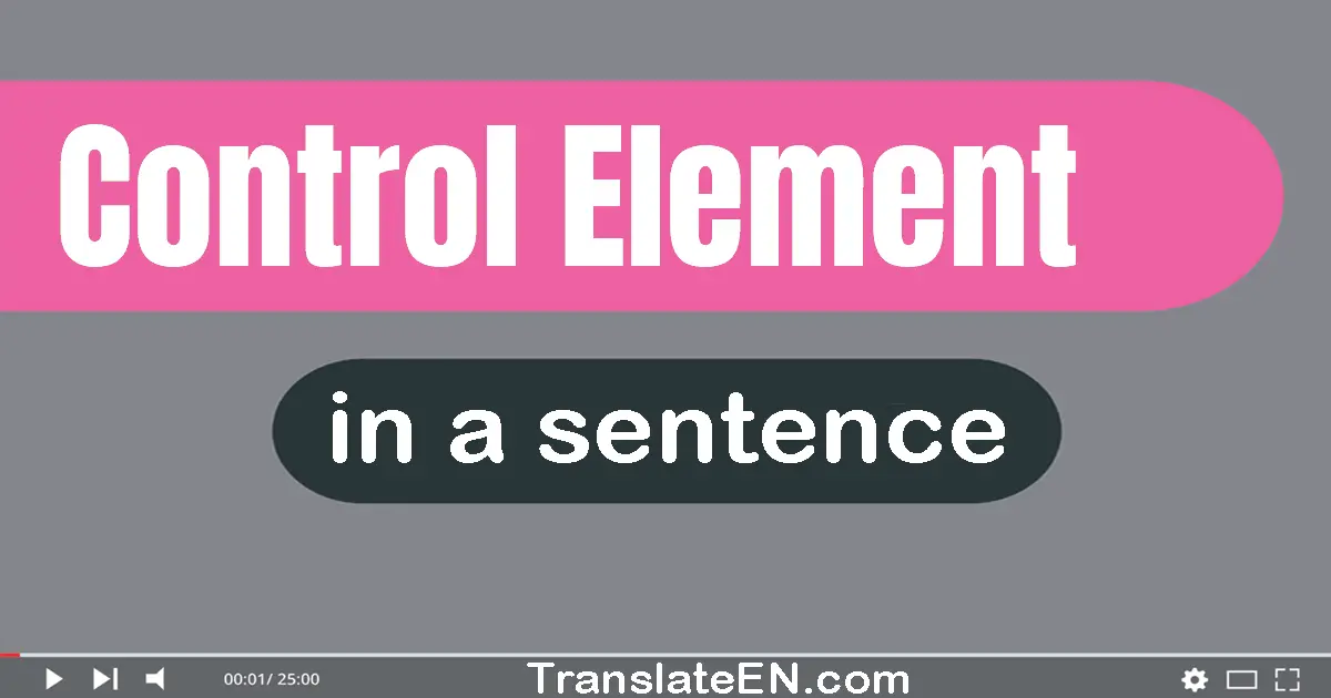 Use "control element" in a sentence | "control element" sentence examples