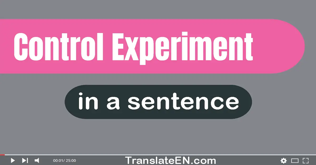 Use "control experiment" in a sentence | "control experiment" sentence examples
