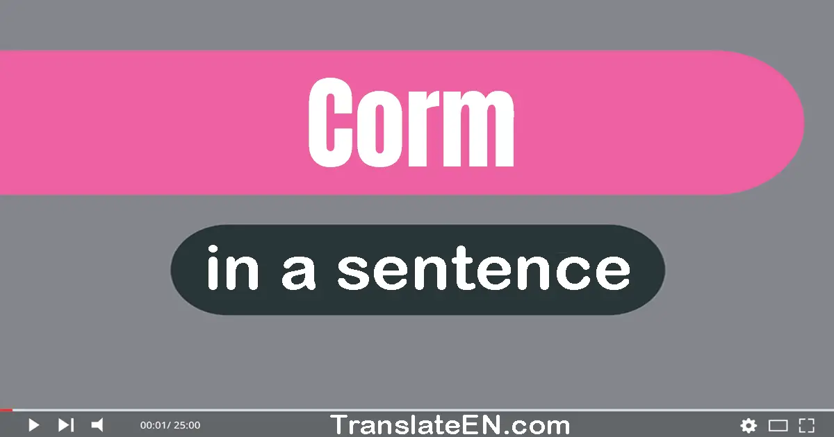 Corm in a sentence