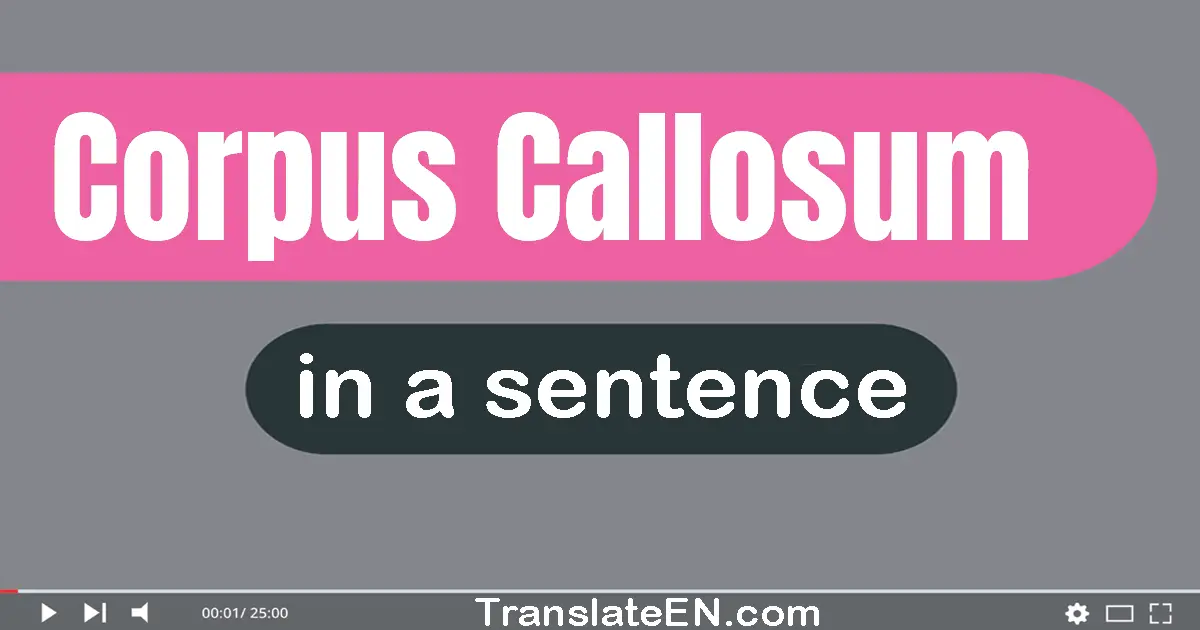 Corpus Callosum in a sentence