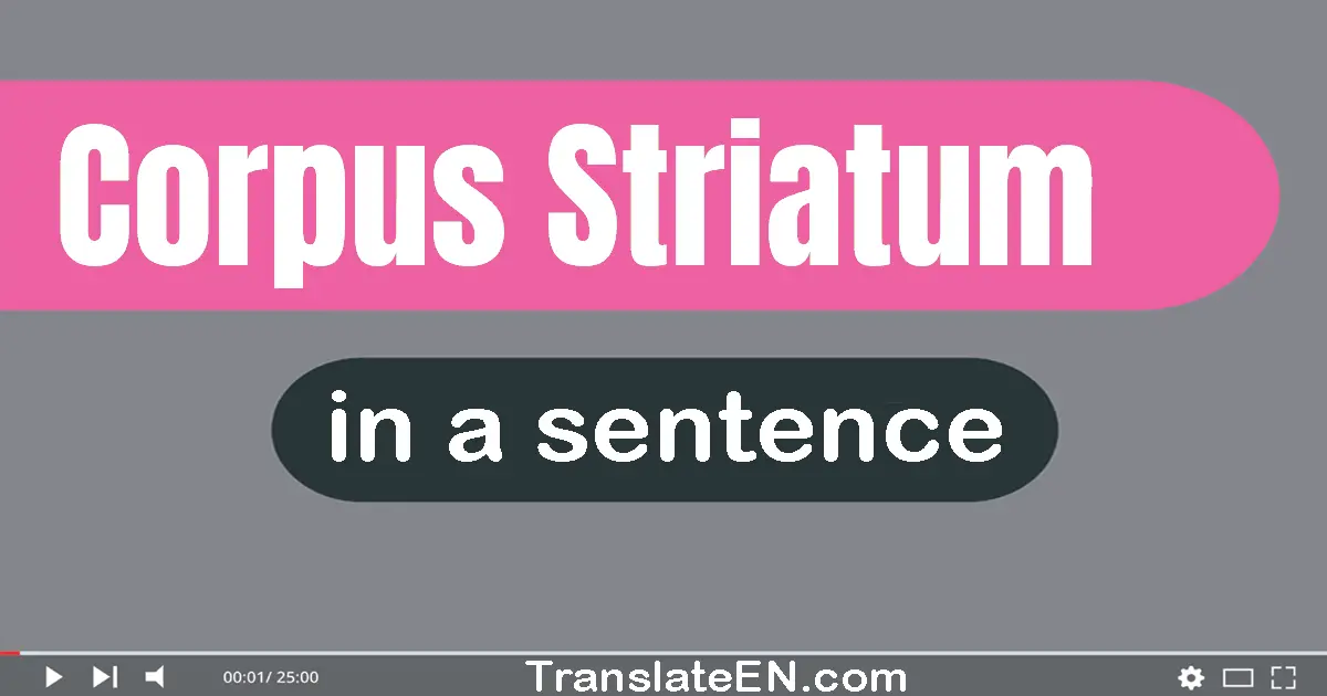 Corpus Striatum in a sentence