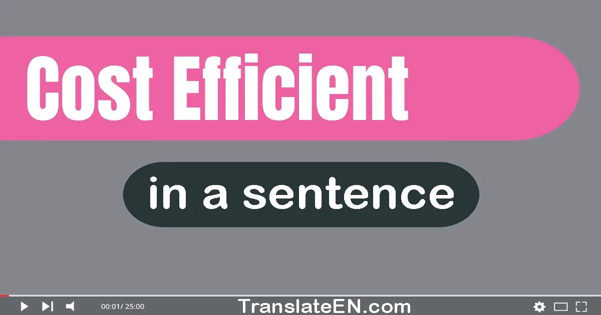 Cost-efficient in a sentence