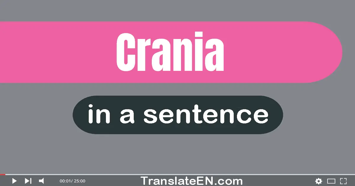 Use "crania" in a sentence | "crania" sentence examples