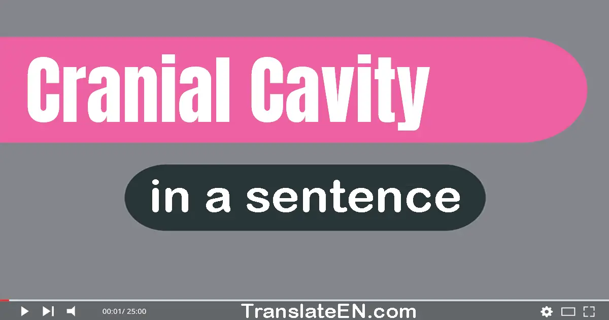 Use "cranial cavity" in a sentence | "cranial cavity" sentence examples