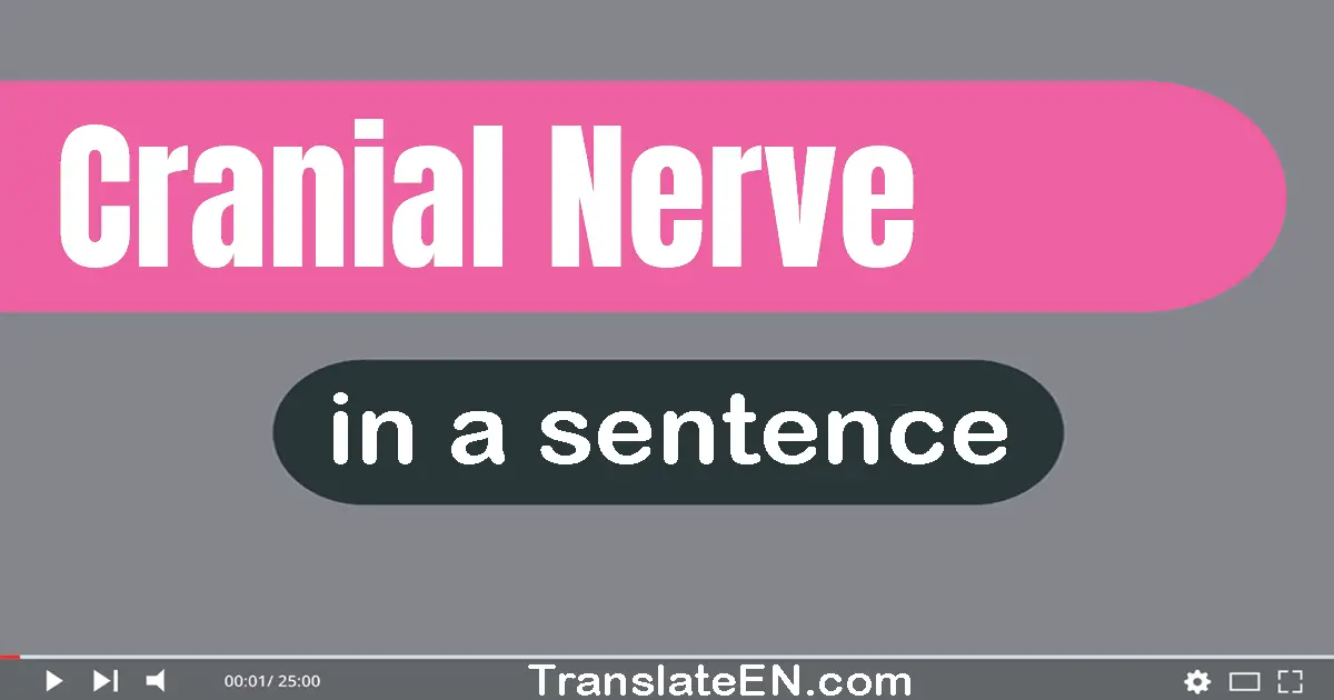 Use "cranial nerve" in a sentence | "cranial nerve" sentence examples