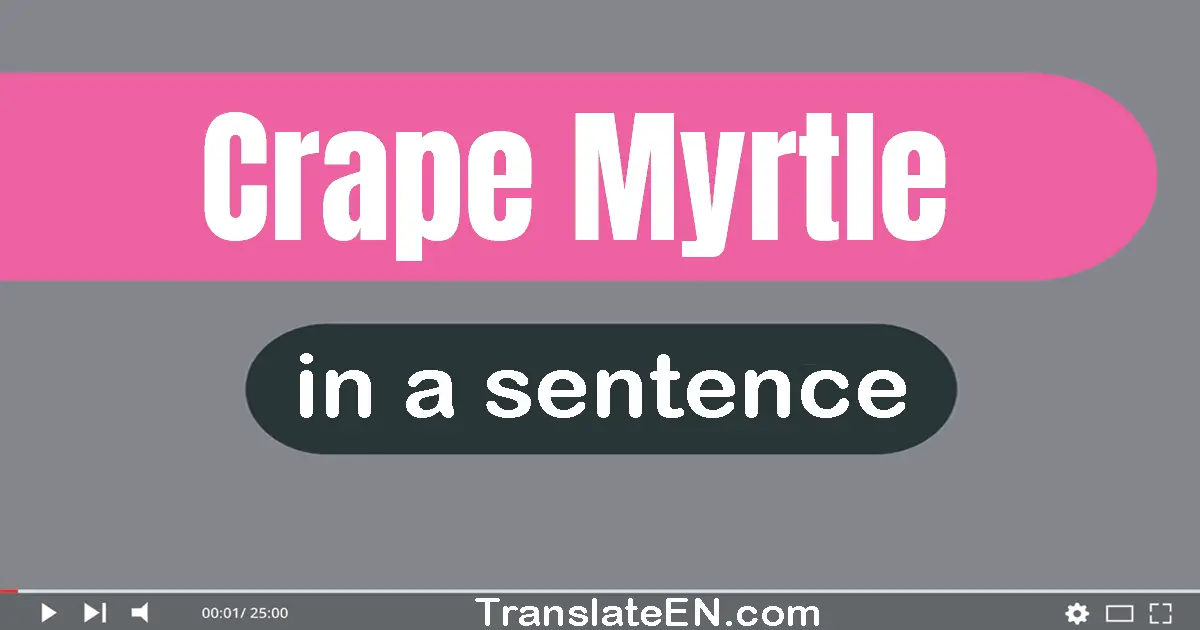 Use "crape myrtle" in a sentence | "crape myrtle" sentence examples