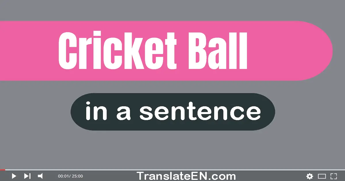 Cricket Ball in a sentence