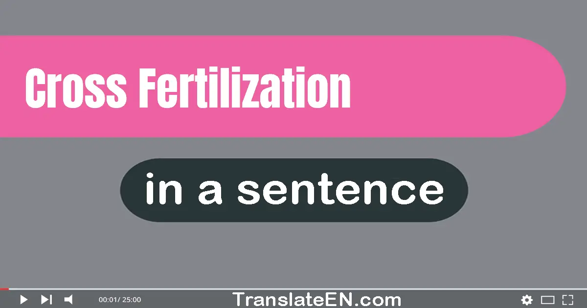 Use "cross-fertilization" in a sentence | "cross-fertilization" sentence examples