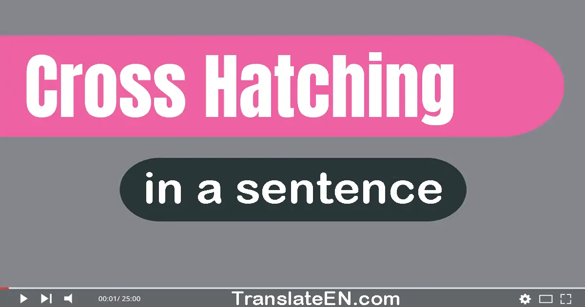 Use "cross-hatching" in a sentence | "cross-hatching" sentence examples