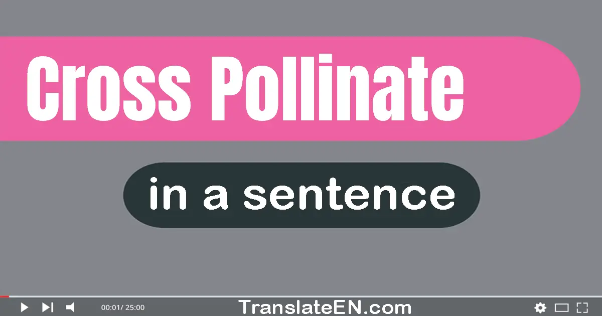 Use "cross-pollinate" in a sentence | "cross-pollinate" sentence examples