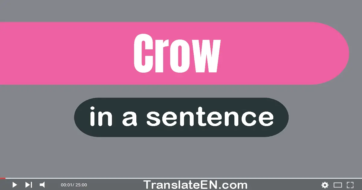 Crow in a sentence