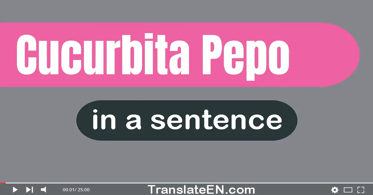 Cucurbita Pepo in a sentence