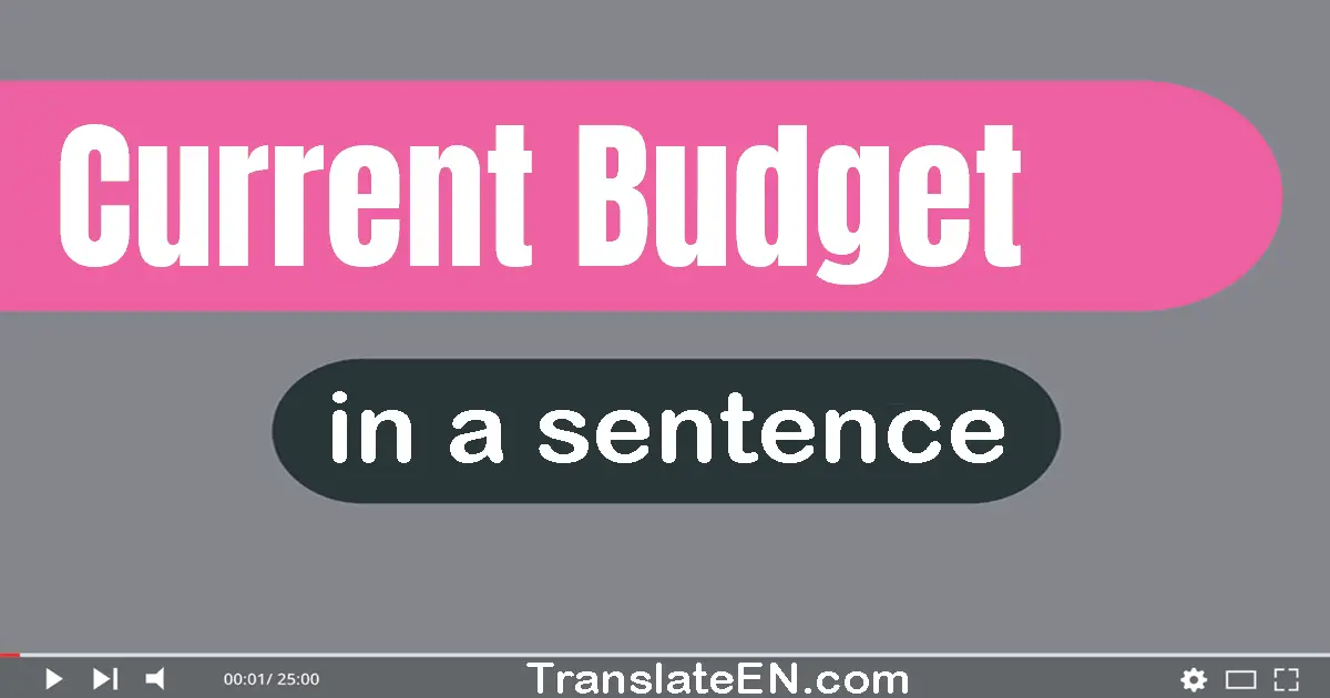 Current Budget in a sentence