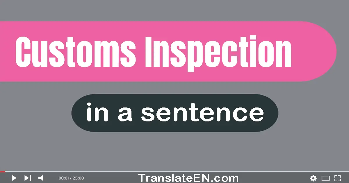 Use "customs inspection" in a sentence | "customs inspection" sentence examples