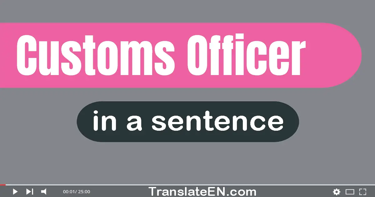 Use "customs officer" in a sentence | "customs officer" sentence examples