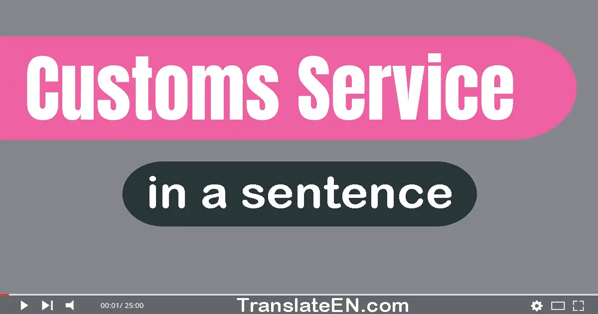 Use "customs service" in a sentence | "customs service" sentence examples