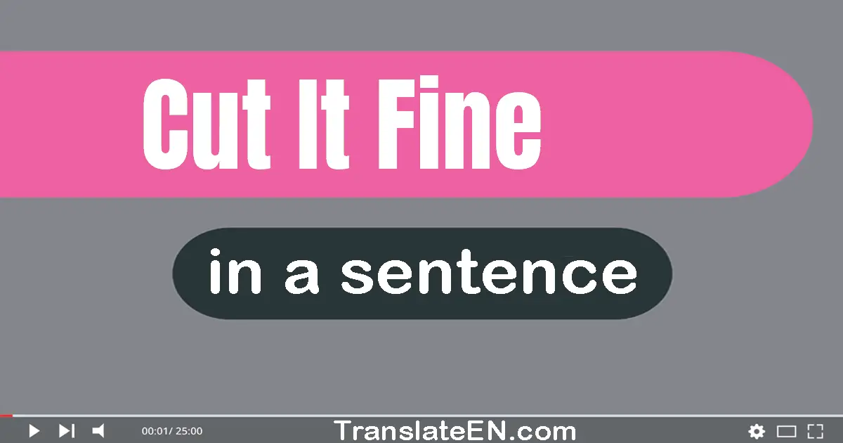 Use "cut it fine" in a sentence | "cut it fine" sentence examples
