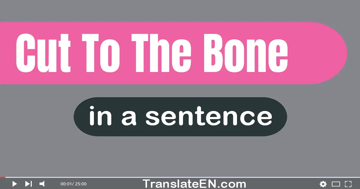 Use "cut to the bone" in a sentence | "cut to the bone" sentence examples