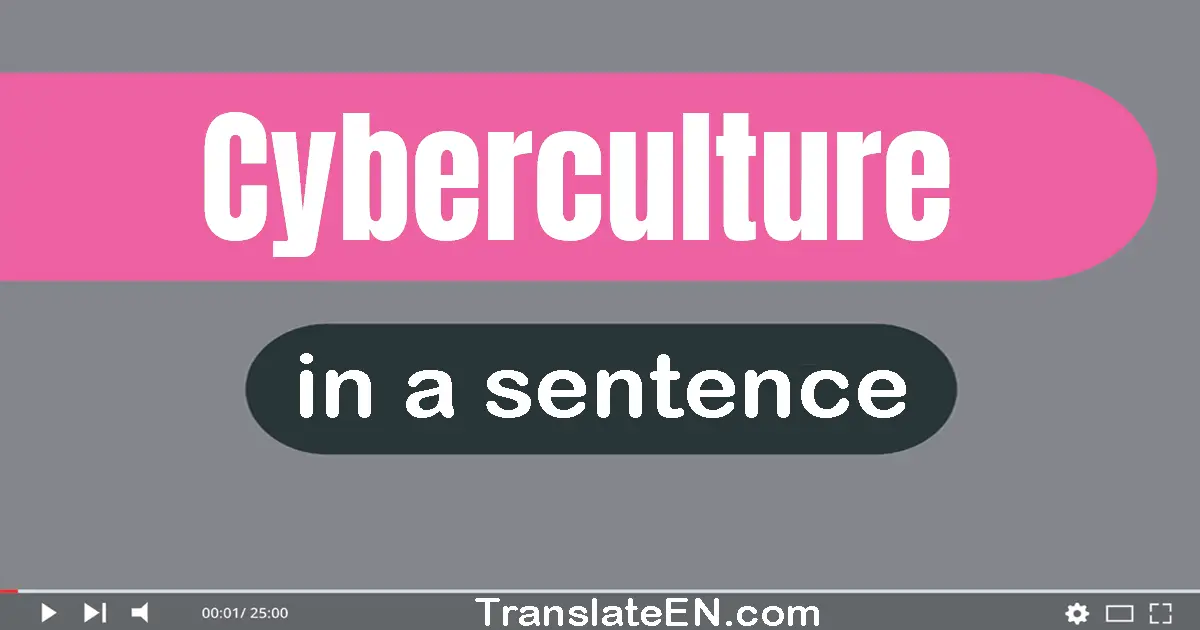 Cyberculture in a sentence