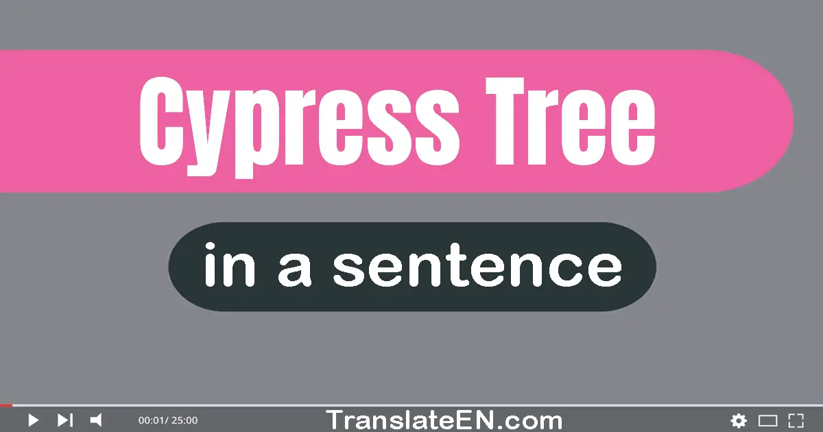 Cypress Tree in a sentence