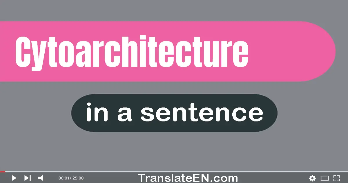 Cytoarchitecture in a sentence