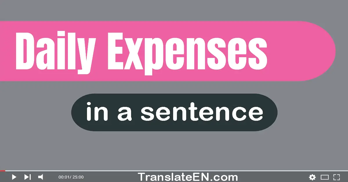 Daily Expenses in a sentence